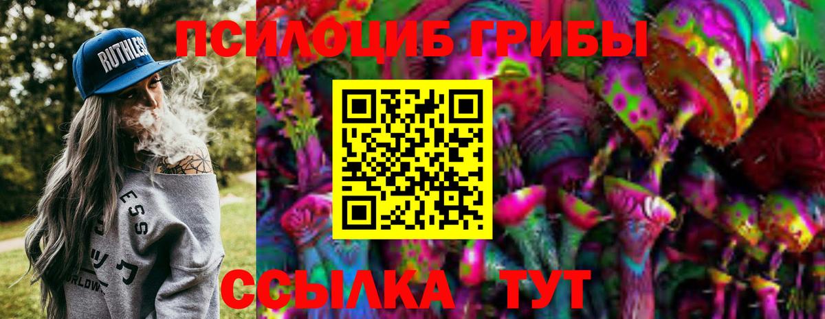 Электрогорск  Псилоцибиновые грибы GOLDEN TEACHER  Вход с VPN 
